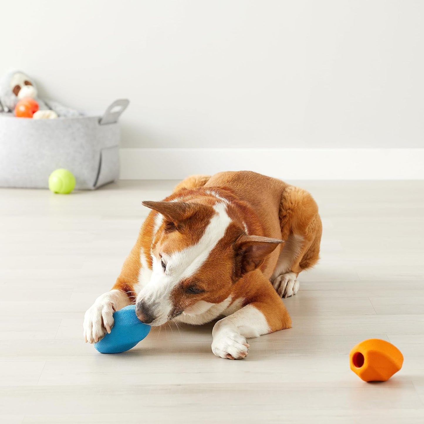 Dog Toys, Puppy Toys of Treat-Dispensing, Pack of 2, Medium, Multicolor