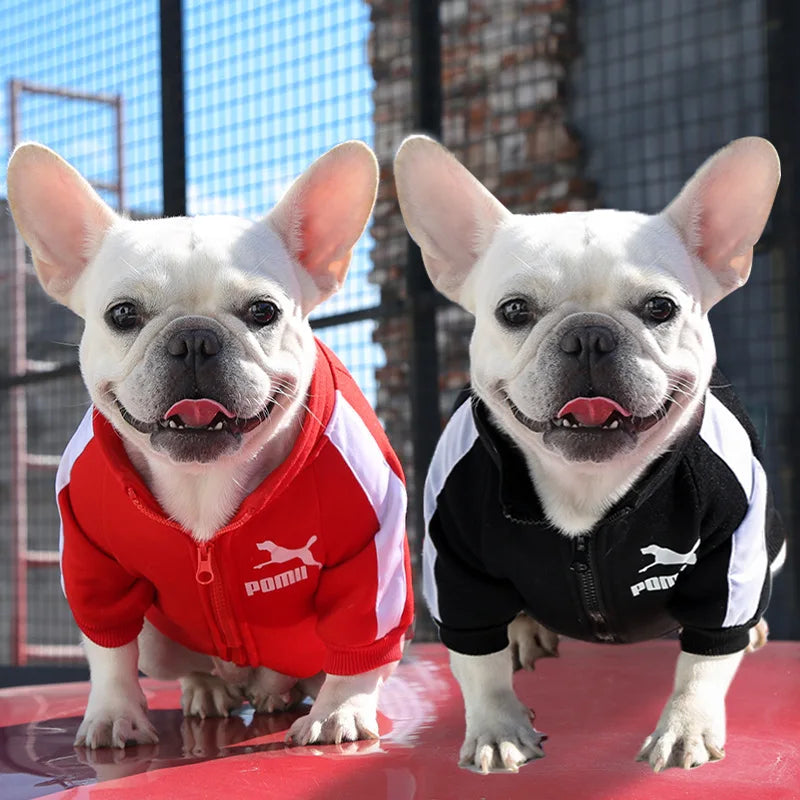 Stylish Baseball Dog Jacket for Winter - Perfect for Small to Medium Dogs, French Bulldogs, and Chihuahuas!