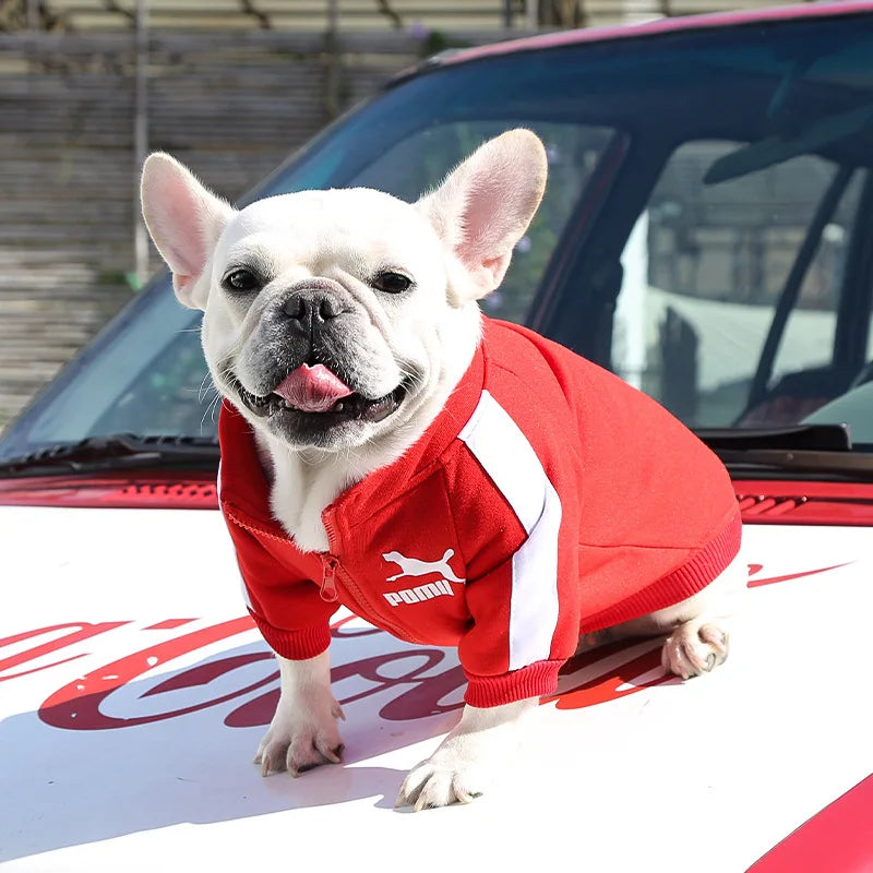 Stylish Baseball Dog Jacket for Winter - Perfect for Small to Medium Dogs, French Bulldogs, and Chihuahuas!