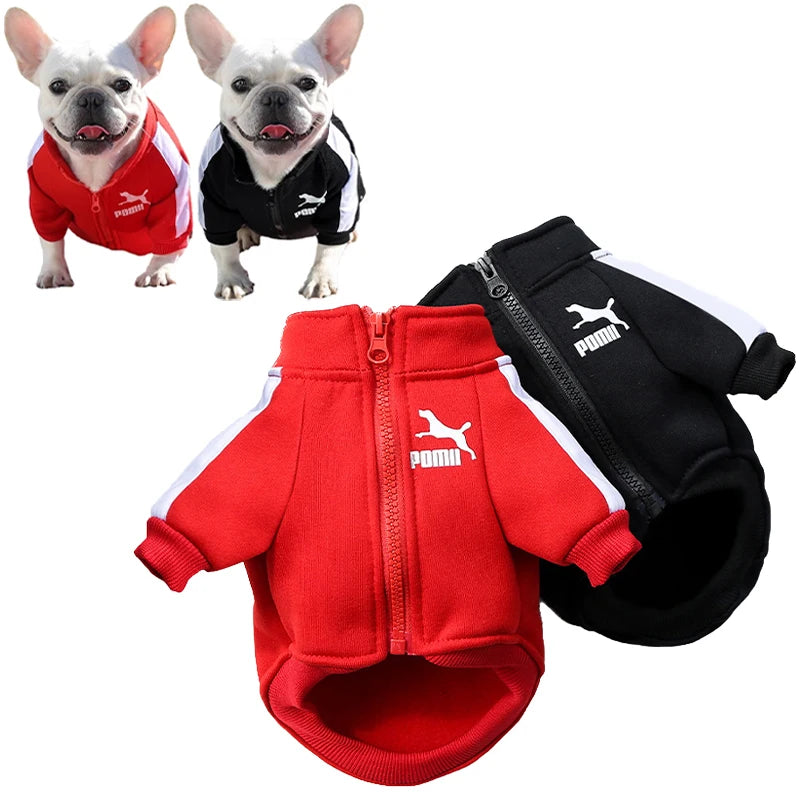 Stylish Baseball Dog Jacket for Winter - Perfect for Small to Medium Dogs, French Bulldogs, and Chihuahuas!