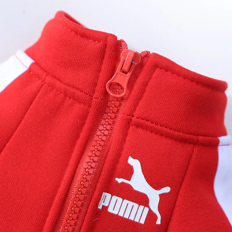 Stylish Baseball Dog Jacket for Winter - Perfect for Small to Medium Dogs, French Bulldogs, and Chihuahuas!