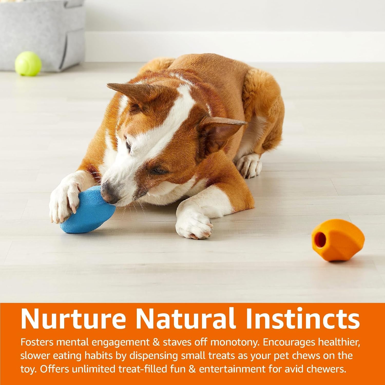 Dog Toys, Puppy Toys of Treat-Dispensing, Pack of 2, Medium, Multicolor