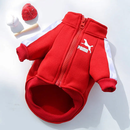 Stylish Baseball Dog Jacket for Winter - Perfect for Small to Medium Dogs, French Bulldogs, and Chihuahuas!